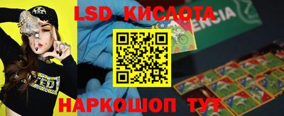 шишки Абинск